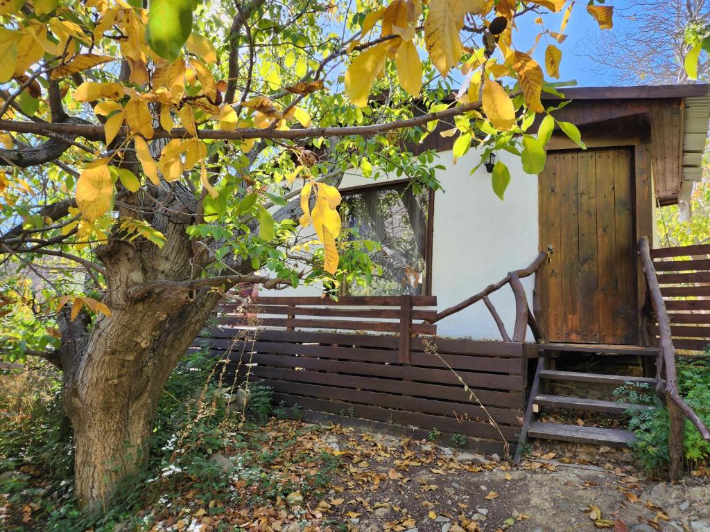 a wooden cabin with a tree in front of it at Cabaña Jacuzzi Interior in San José de Maipo