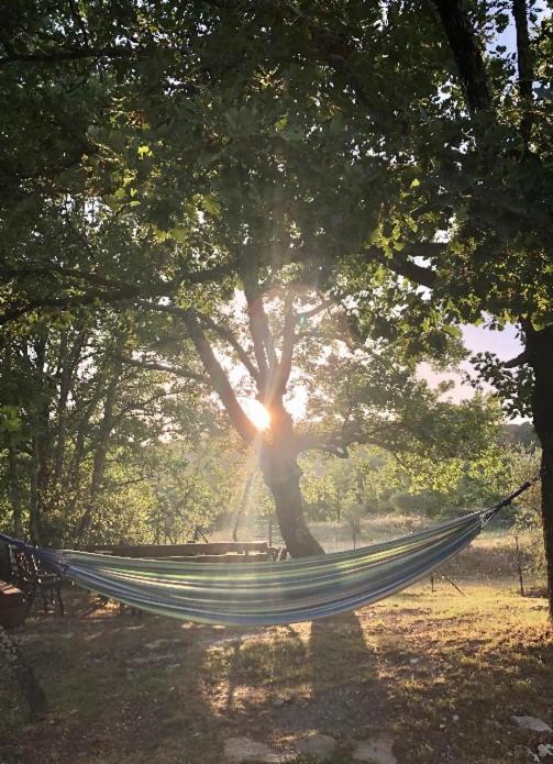 un hamac suspendu à un arbre dans un parc dans l'établissement Charmante chambre dans une maison de campagne, à Saint-Étienne-de-Fontbellon