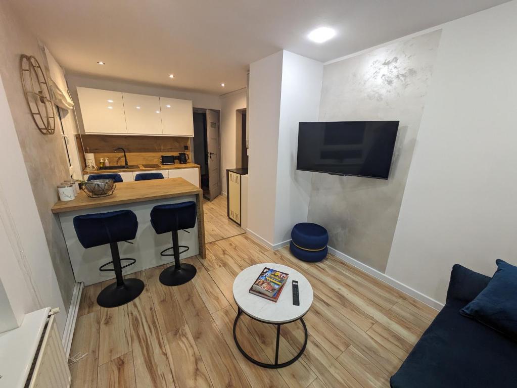 TV a/nebo společenská místnost v ubytování Deep Blue - Apartament Hel