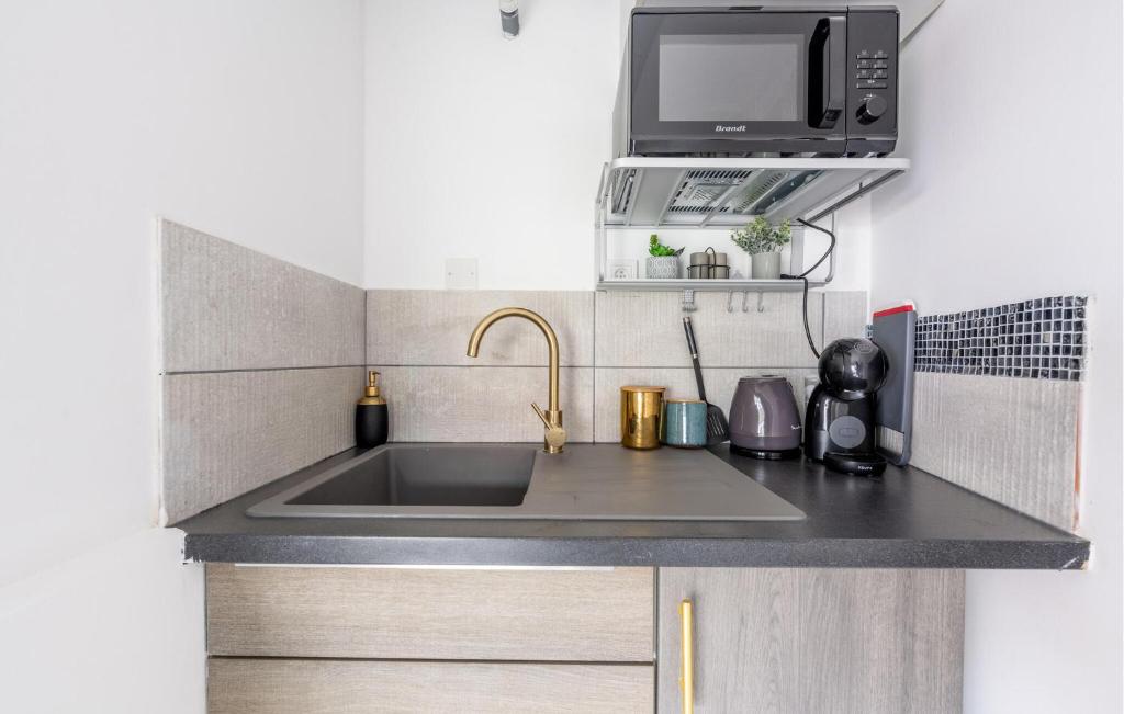 a kitchen with a sink and a microwave at Amazing Apartment In Amblainville With Kitchenette in Amblainville
