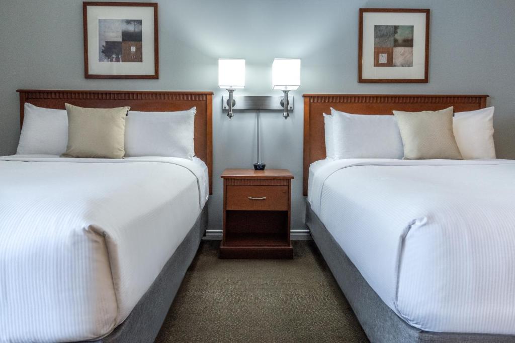 Hôtel Saint-Laurent Montréal - Resim 9