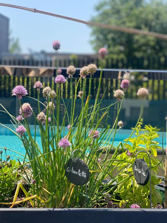 Radisson Blu Hotel, Montpellier - Resim 40