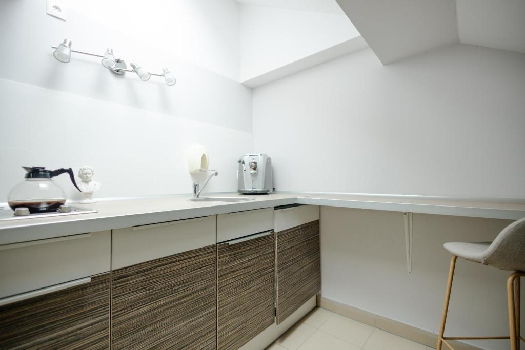 Kuchyň nebo kuchyňský kout v ubytování Hotel Beethoven