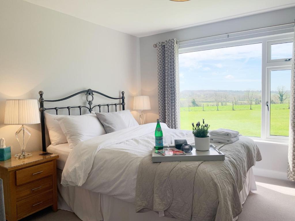 ein Schlafzimmer mit einem Bett und einem großen Fenster in der Unterkunft Rowlands Annex in Yelverton