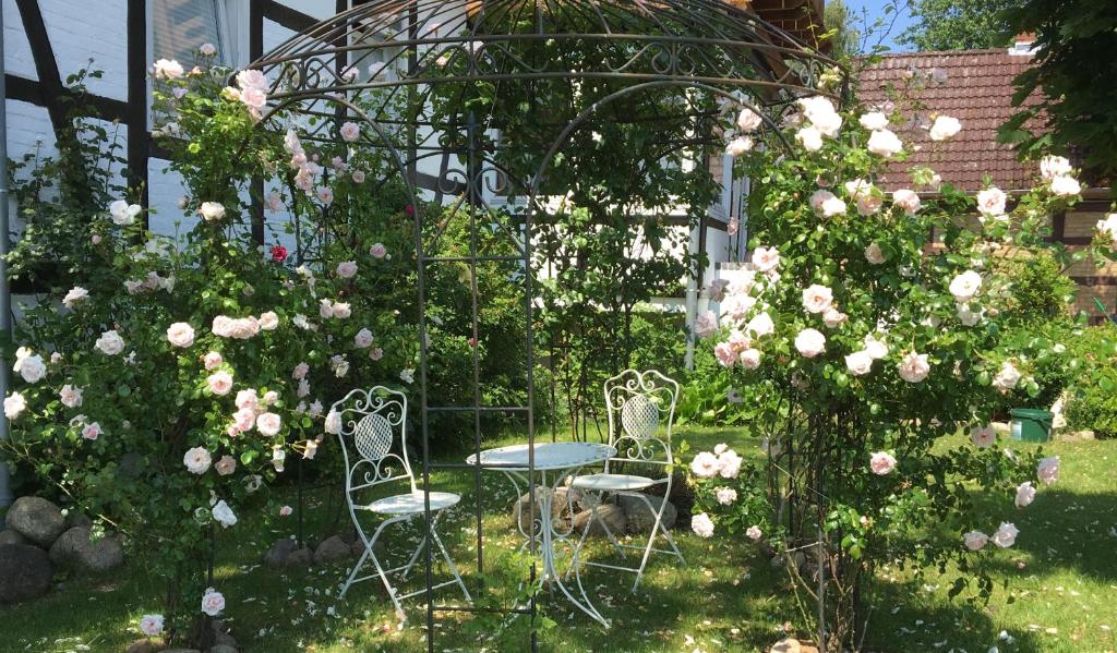 two chairs and a table in a garden with roses at Ferienwohnung Adolfshof 1 in Malente