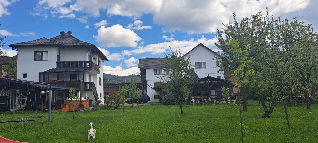 um cão a passear num quintal em frente a duas casas em casa melinda em Vişeu de Sus