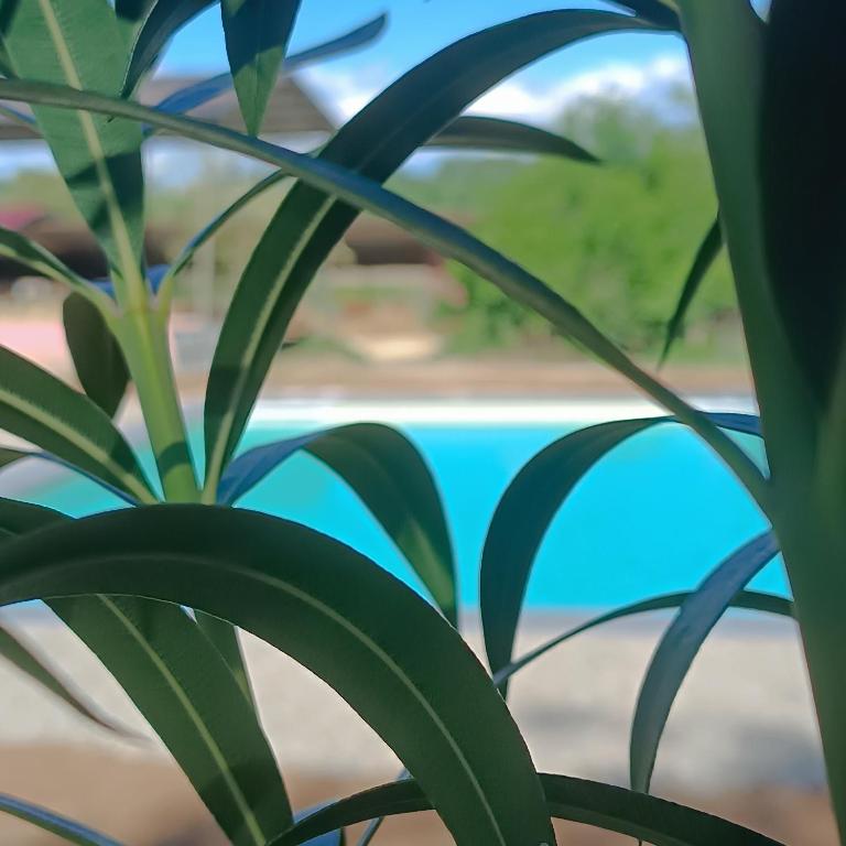 Piscina di Biobagnolese Agriturismo o nelle vicinanze