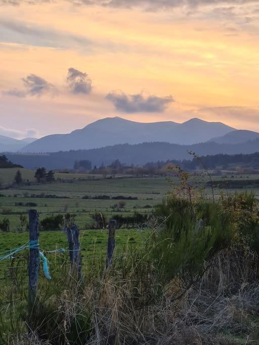 une clôture dans un champ avec des montagnes en arrière-plan dans l'établissement Maison dans le Sancy, à Le Vernet-Sainte-Marguerite