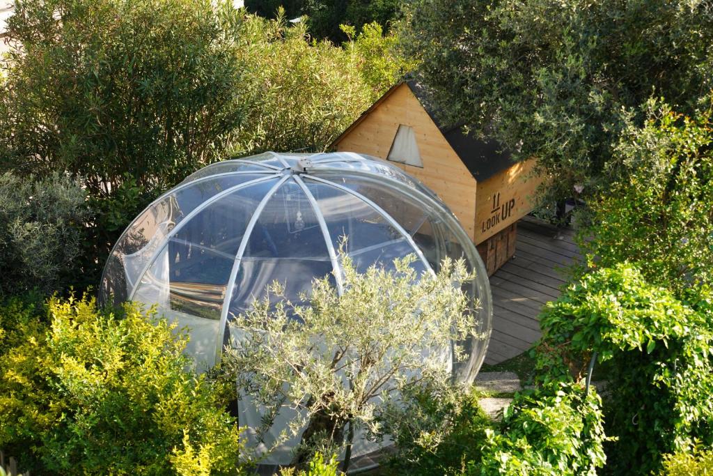 a small greenhouse in the middle of a garden at Starsbox con piscina e idromassaggio in Celle Ligure