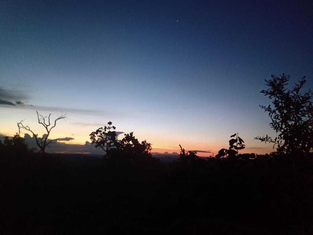 een zonsondergang in een veld met bomen op de voorgrond bij Laroyê hostel in Pirenópolis