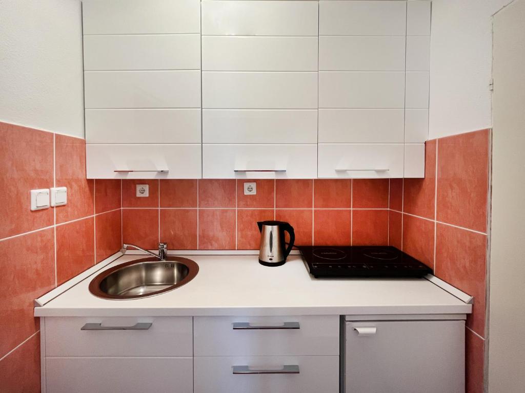 Kuhinja oz. manjša kuhinja v nastanitvi Apartmani Novkovic