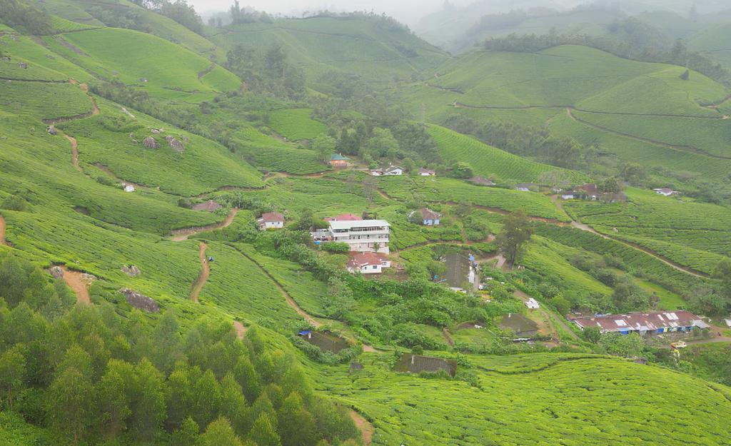 a village in the middle of a green hillside at 5 Bedroom in Tea Plantation in Munnar