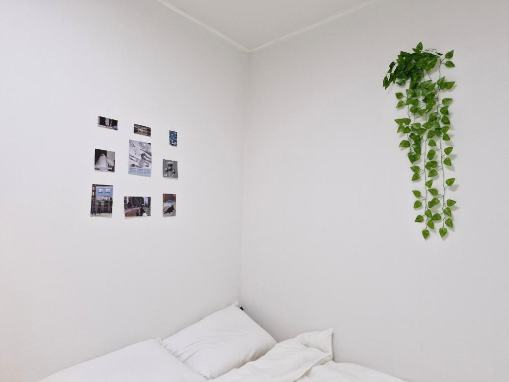 Camera bianca con divano e pianta di Iceblue stay a Seul