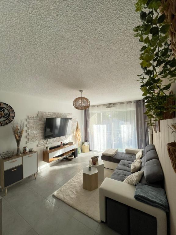 een woonkamer met een bank en een tv bij Atmosphère Cosy de 50m2 in Castelnau-le-Lez