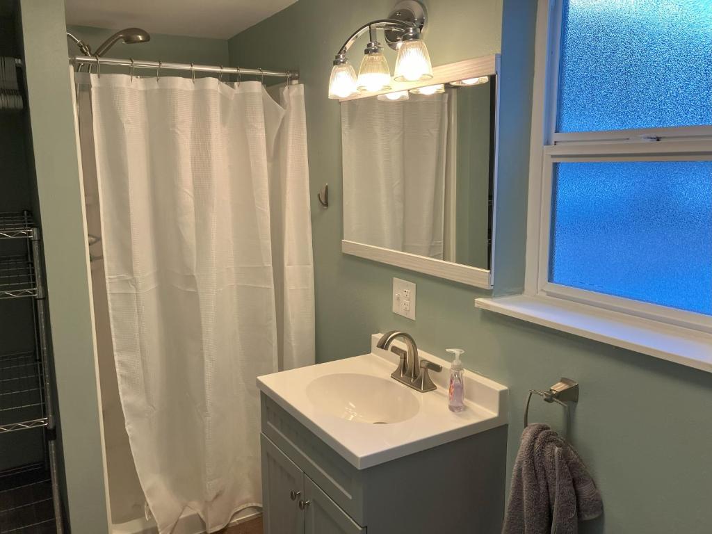 a bathroom with a sink and a shower at Halibut House Unit 4 in Seward