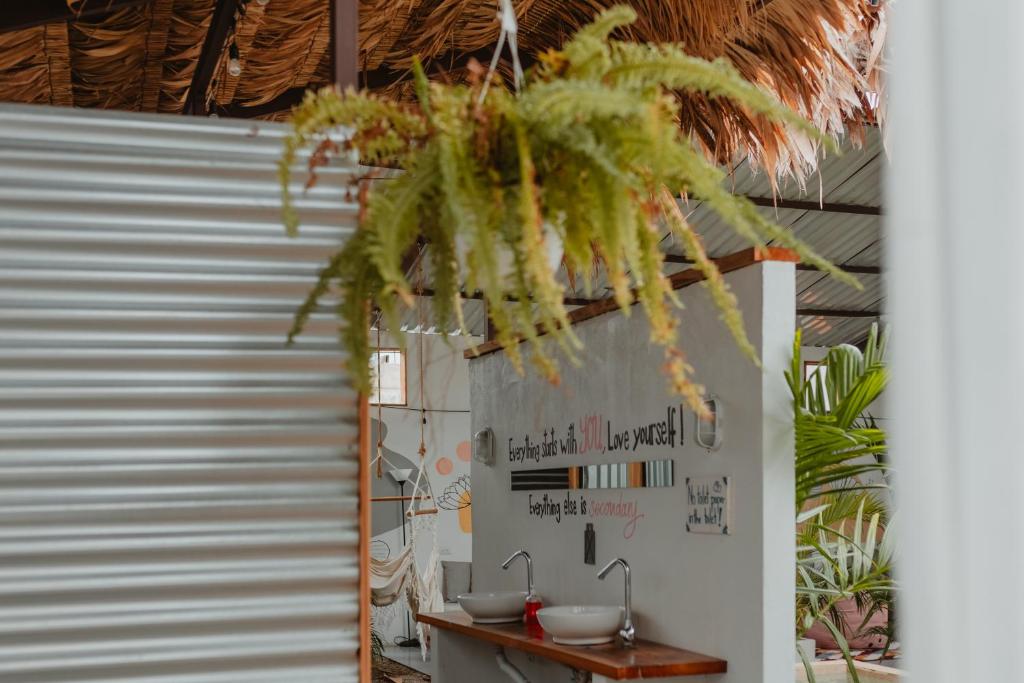 Фотография из галереи La Tribu Boutique Hostel for women в Пуэрто-Вьехо