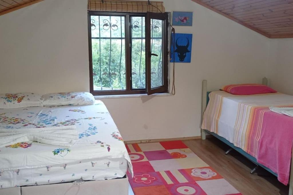 1 dormitorio con 2 camas y ventana en HAS Bağ Evi, 