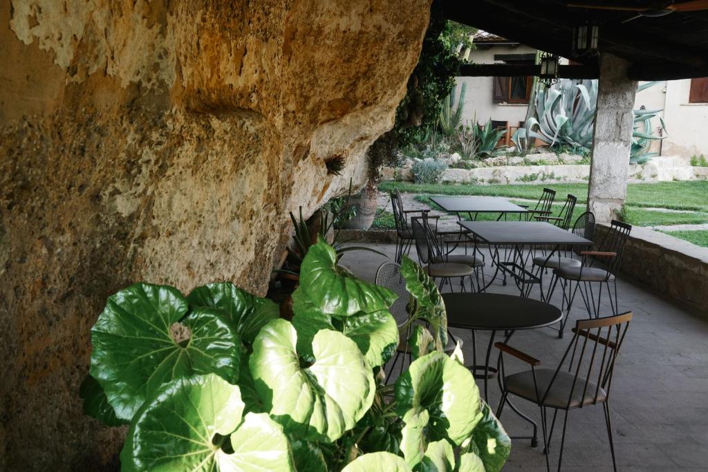 Vonkajšia záhrada v ubytovaní Hotel Hort De Fortunyo