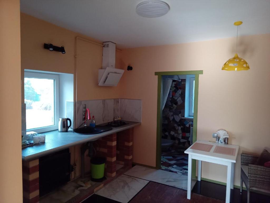 a kitchen with a counter and a sink at Маєток SOVA in Khutoro-Gubinikha