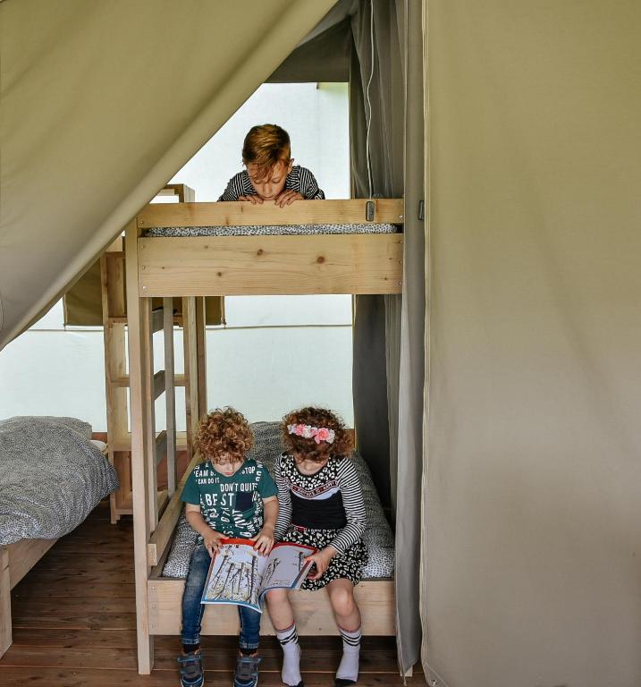 Palanda nebo palandy na pokoji v ubytování Luxe kamperen bij Procamp4all