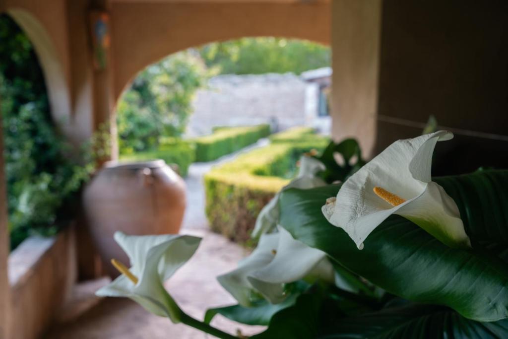 Vonkajšia záhrada v ubytovaní Hotel Hort De Fortunyo