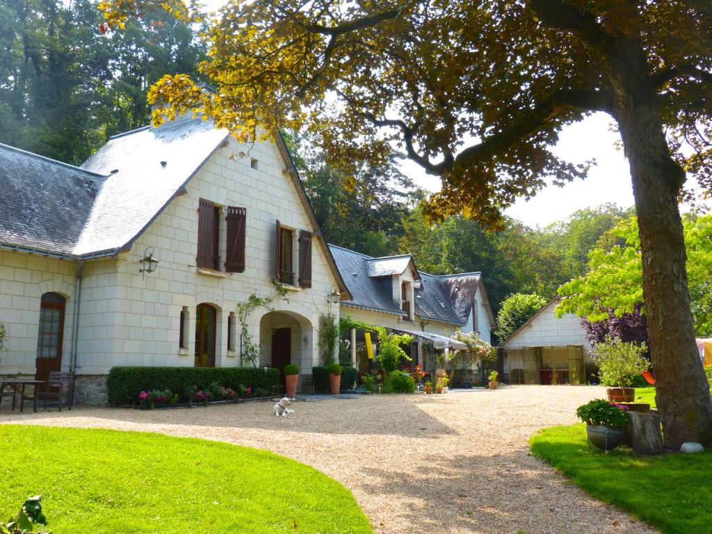 a white house with a dog walking in front of it at Domaine de Joreau in Gennes