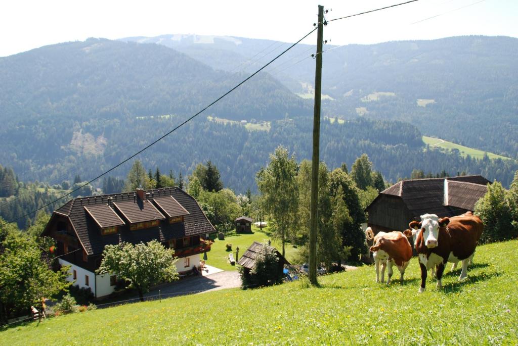 two cows standing on a hill in a field at Ferienwohnung Lahnerhof in Arriach