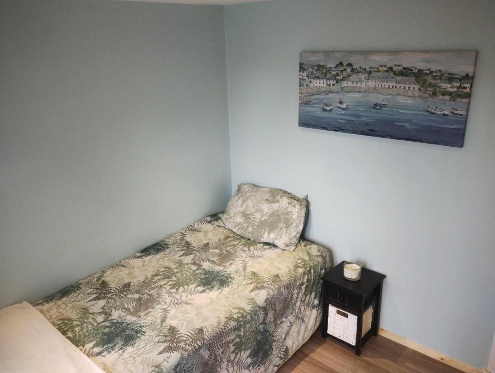 Tempat tidur dalam kamar di Pentland Views Holiday Home