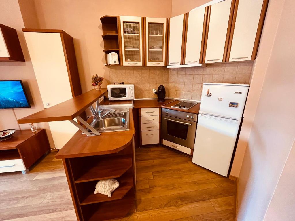 Kuchyň nebo kuchyňský kout v ubytování Marina Apartment - Mountain View