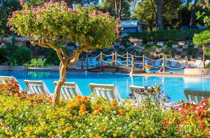 - un groupe de chaises en face d'une piscine dans l'établissement Chalet Coco, à Roquebrune-sur Argens