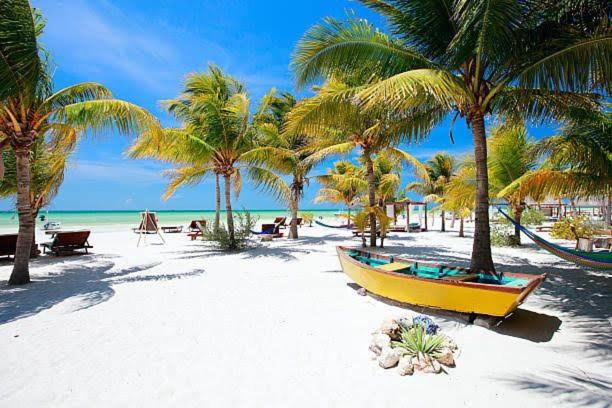 a yellow boat on a beach with palm trees at Balam Holbox in Holbox Island