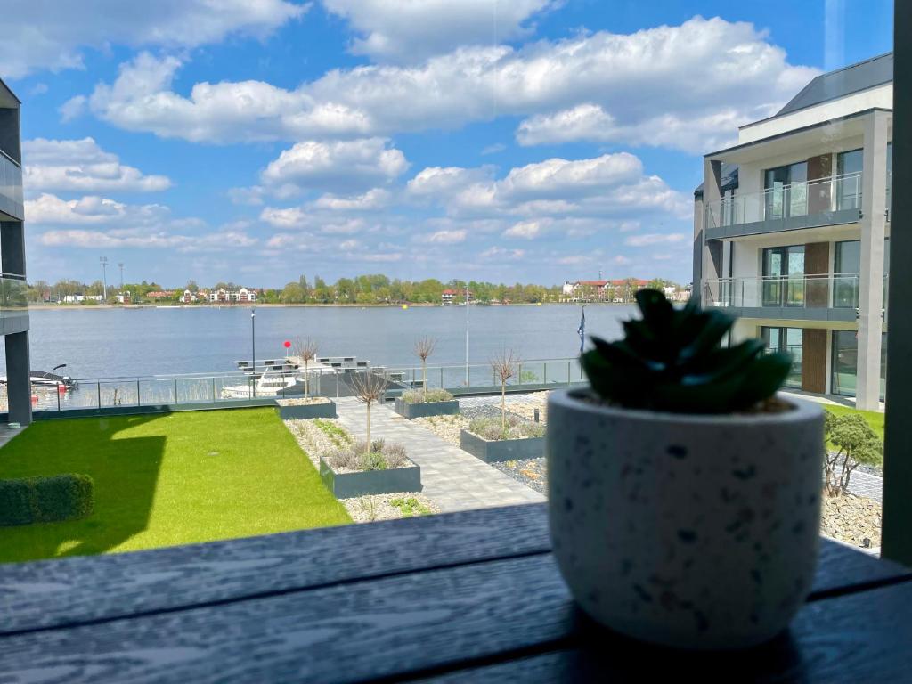 Vista sul fiume nelle vicinanze dell'appartamento