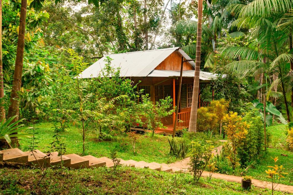 a small house in the middle of a forest at Cabañas Dechi in Puerto Nariño