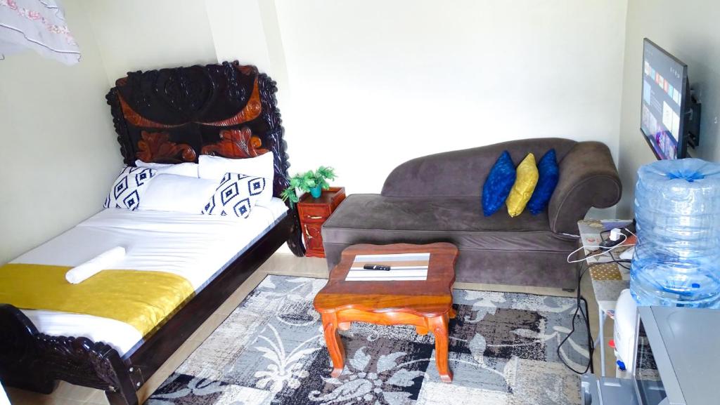 TV a/nebo společenská místnost v ubytování Nash3 Furnished Studio- CBD Nakuru