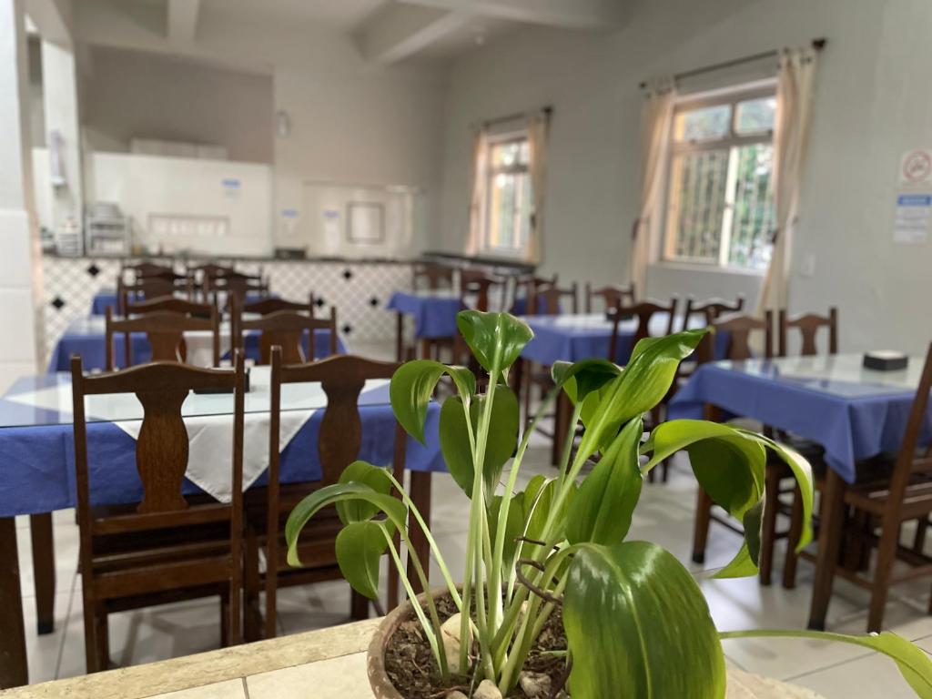 a room with tables and a potted plant on a table at Hotel Calcinfer in São João del Rei