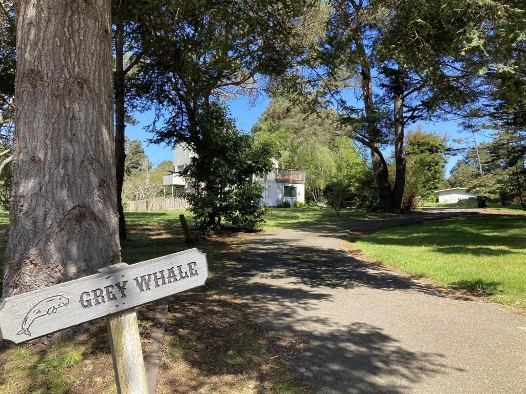 a sign that says city warfare next to a tree at A - Grey Whale in Fort Bragg