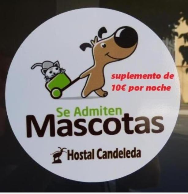 Certifikát, hodnocení, plakát nebo jiný dokument vystavený v ubytování HOSTAL CANDELEDA