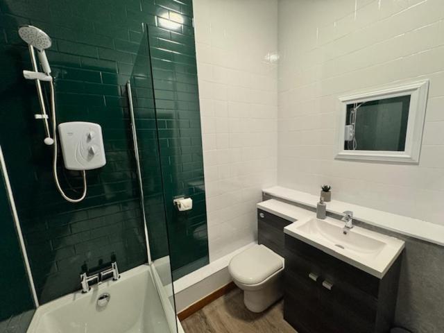a bathroom with a toilet and a sink and a shower at Ben Lomond Apartment in Alexandria