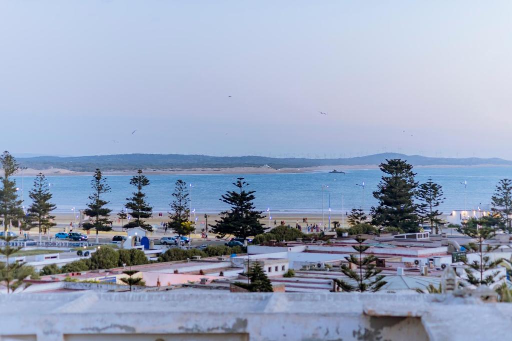 a view of a beach with trees and the water at Giraffe Hostel -Sea View Rooftop in Essaouira