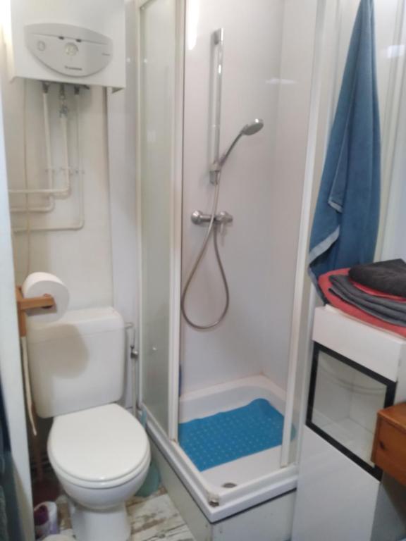 mała łazienka z toaletą i prysznicem w obiekcie Ana habitación privada w Antwerpii