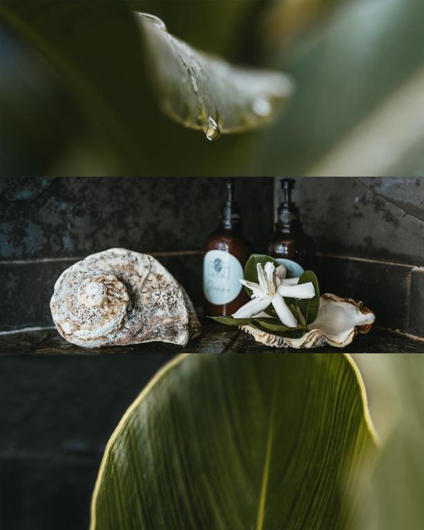 Fotografie z fotogalerie ubytování Bungalow Bali Hai ve Fare