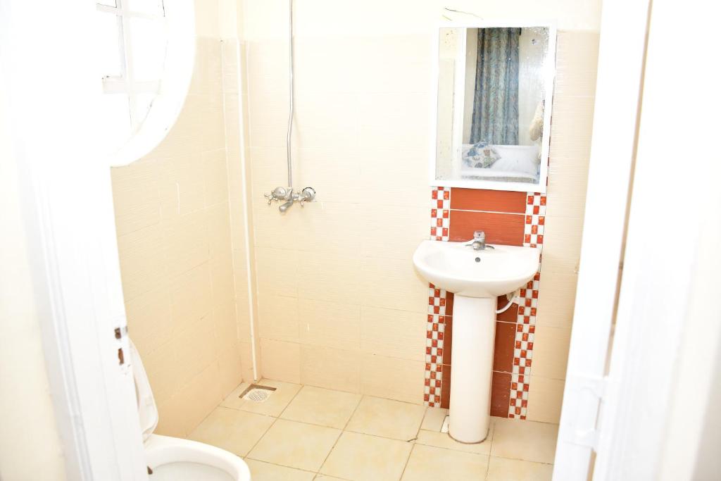 Baño pequeño con lavabo y aseo en Hope Comfort homes, en Nairobi