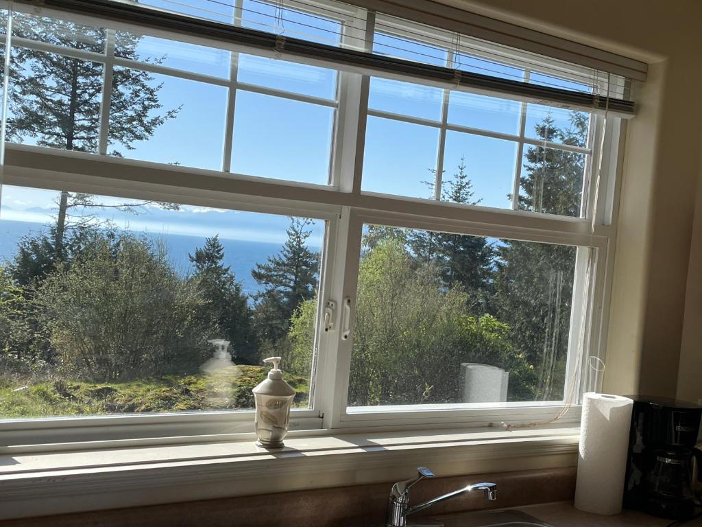 a window with a vase sitting on a kitchen sink at Skyview Apartment at Otter Point in Sooke