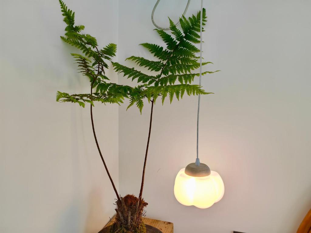 Fotografie z fotogalerie ubytování 小喜屋（美周路店） v destinaci Qingpu