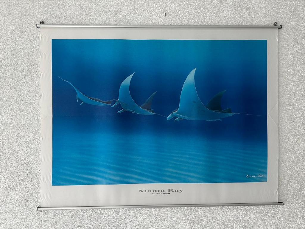 Fotografie z fotogalerie ubytování ペンションAloalo v destinaci Širahama