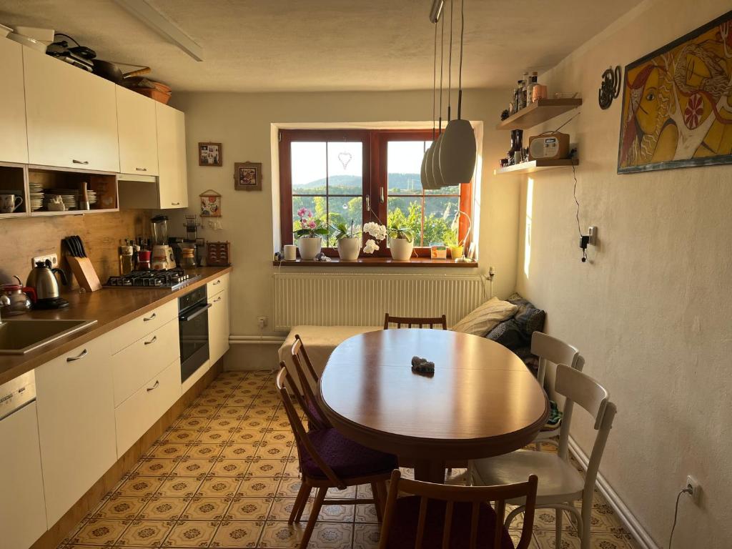 Kuchyň nebo kuchyňský kout v ubytování Cat’s House- Dům u třech koček