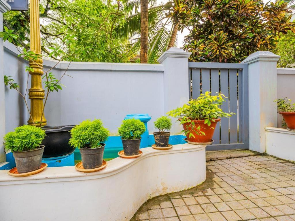 Zahrada ubytování Elim Homestay Fort Kochi