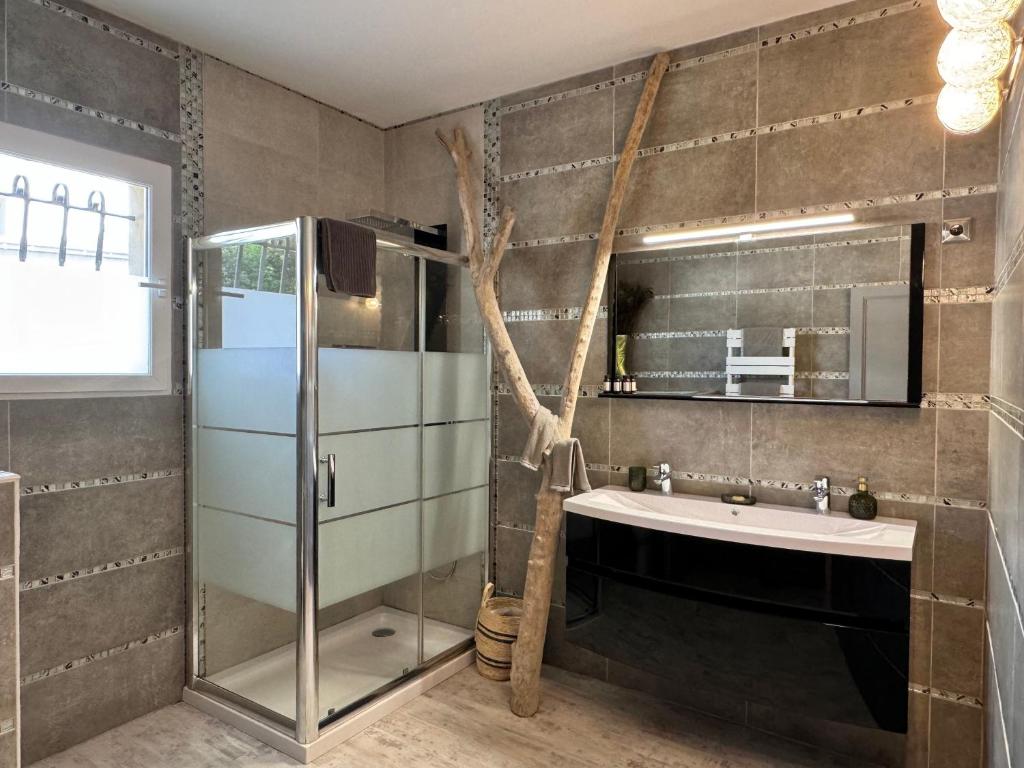 a bathroom with a sink and a shower and a mirror at Les 5 Arches in Sisco