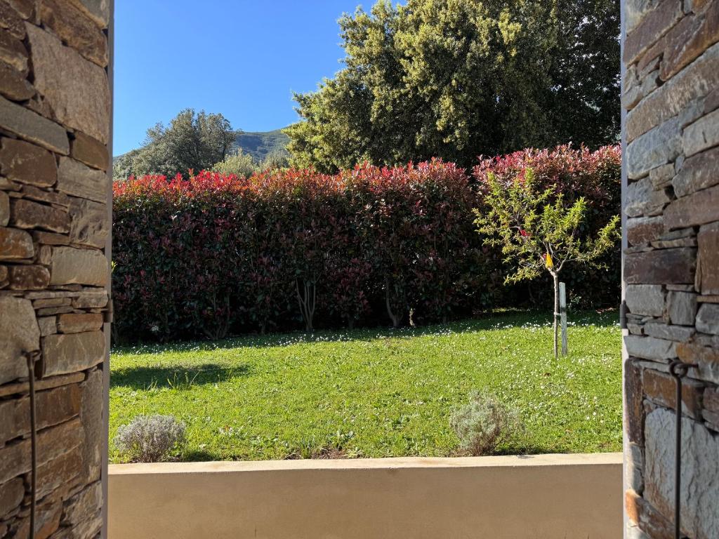 a view of a garden through a brick wall at Les 5 Arches in Sisco