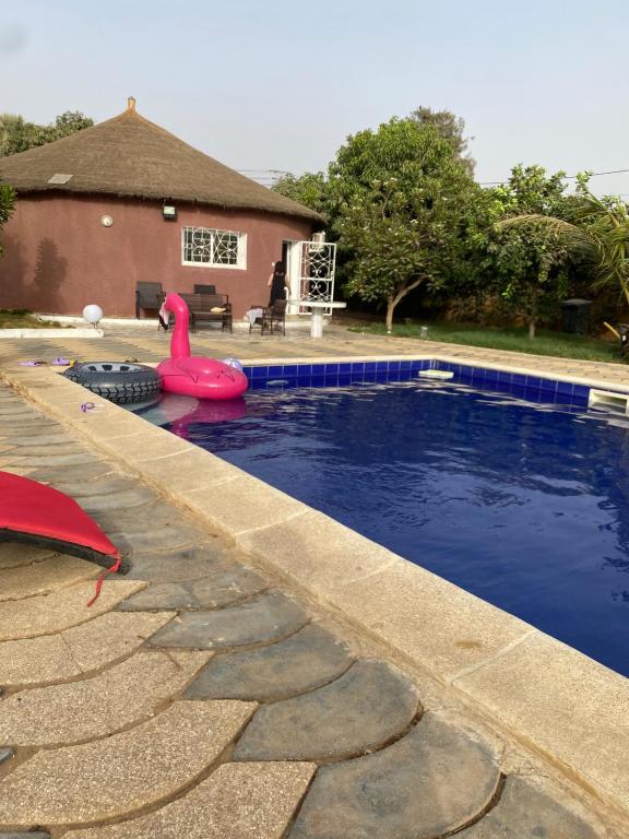 a swimming pool with a pink rubber duck in it at Le teranga royale lodge in Nianing